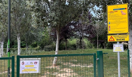 Cani liberi nei parchi e pericolo di aggressioni: &quot;Servono più cartelli e controlli&quot;
