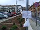 Una foto dell'aiuola di piazza don Albera