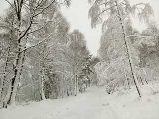 Neve a Andrate San Giacomo - Foto da canale Telegram Andrea Vuolo