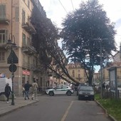 Gli effetti del maltempo a Torino Sud e al Salone del Libro