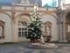 A Palazzo Lascaris ritorna il pino &quot;adottato&quot; dal Consiglio regionale