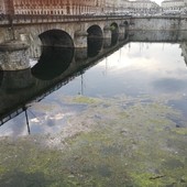 Alghe e rifiuti accumulati: gli operai puliscono il fiume Po Alghe e rifiuti accumulati: gli operai puliscono il fiume Po