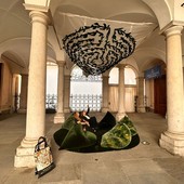 art site fest
