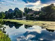 Alghe e piante acquatiche nel Po Alghe e piante acquatiche nel Po