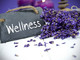 Wellness Village Torino 2025: cinque sabati dedicati al benessere