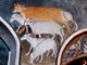 &quot;HIC sunt Viperae&quot;: il 6 settembre breve storia degli animali ai piedi delle Alpi
