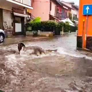 Disagi con le recenti ondate di maltempo a Torino e provincia