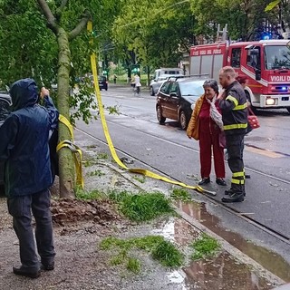 albero caduto in corso Belgio