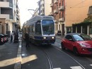 Nel 2024 a Torino 1.465 multe al giorno per malasosta Nel 2024 a Torino 1.465 multe al giorno per malasosta