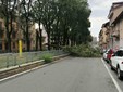 Maltempo a Torino nel pomeriggio di oggi Maltempo a Torino nel pomeriggio di oggi