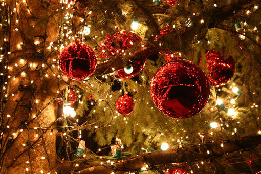 A Vigone arriva il Natale con presepi creativi e alberi addobbati dai bimbi
