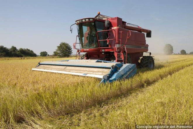 Nuovo regolamento per i distretti biologici