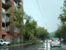 Maltempo, il comune fa la conta dei danni e raccomanda: &quot;Attenzione a sostare sotto gli alberi&quot;