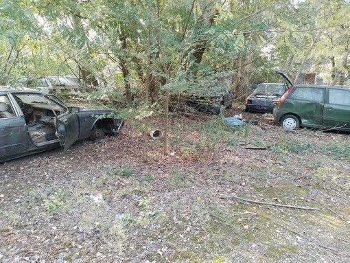 Sgombero ex depositeria di Nichelino: saranno rimosse 900 auto abbandonate Sgombero ex depositeria di Nichelino: saranno rimosse 900 auto abbandonate