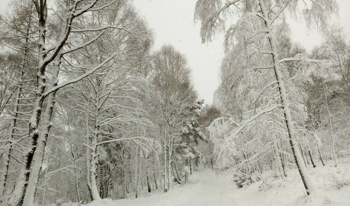 Meteo: attesi vento sulle pianure torinesi e neve sulle Alpi