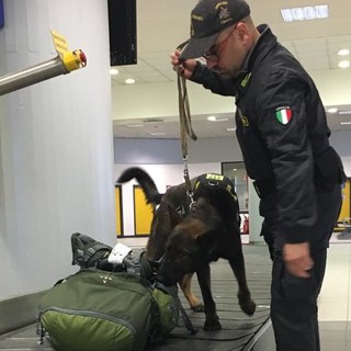 Furto in aeroporto a Caselle, la Finanza cattura la ladra mentre è già a bordo del velivolo