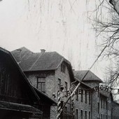 Giorno della Memoria, il Comune di Pino Torinese promuove tre iniziative culturali