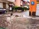 Disagi con le recenti ondate di maltempo a Torino e provincia