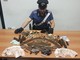 Teneva in casa un arsenale di armi e munizioni illegali: arrestato un 83enne di Gassino