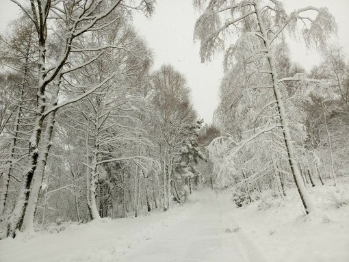 Meteo: attesi vento sulle pianure torinesi e neve sulle Alpi