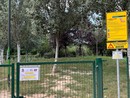 Cani liberi nei parchi e pericolo di aggressioni: "Servono più cartelli e controlli" Cani liberi nei parchi e pericolo di aggressioni: "Servono più cartelli e controlli"
