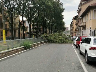Maltempo a Torino nel pomeriggio di oggi Maltempo a Torino nel pomeriggio di oggi