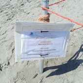 È il 66enne Luigi Fasano il cuneese morto in mare al largo di Andora È il 66enne Luigi Fasano il cuneese morto in mare al largo di Andora