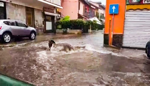 Disagi con le recenti ondate di maltempo a Torino e provincia