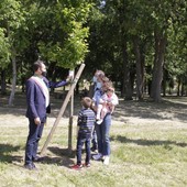dona un albero - foto di archivio