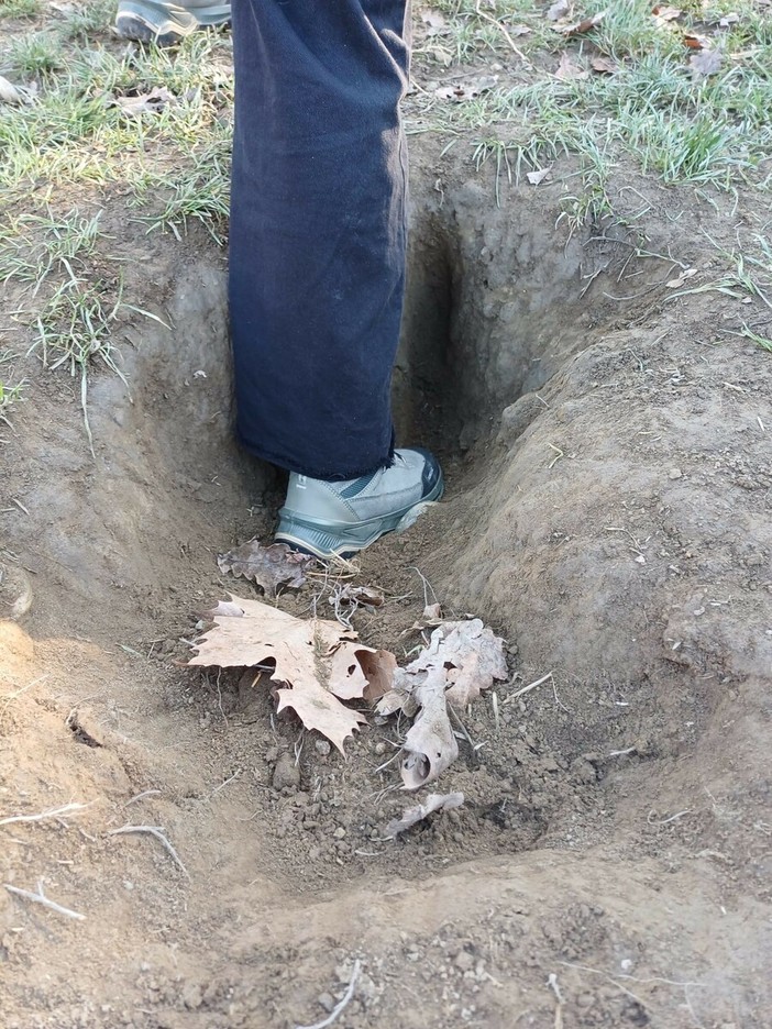 Pellerina, area cani tra buche e recinzioni rotte: “Servono interventi immediati” Pellerina, area cani tra buche e recinzioni rotte: “Servono interventi immediati”