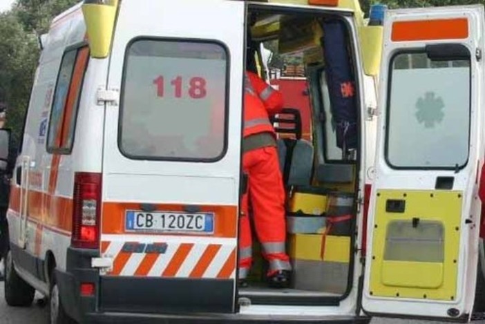 Centauro investe un capriolo: grave un uomo di 69 anni