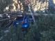 Vento forte a Torino: alberi si abbattono su un'auto in corso Taranto