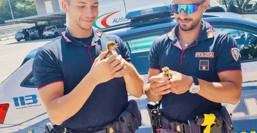 Gli agenti con uno dei piccoli pulcini salvati