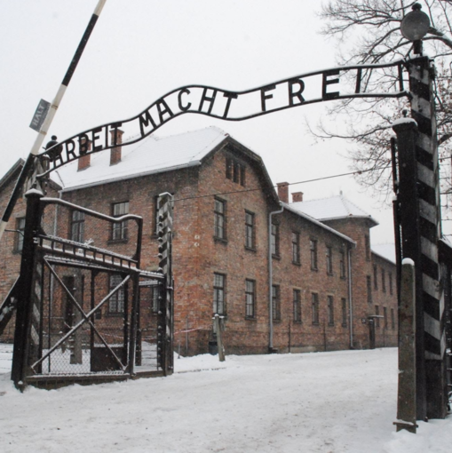 Auschwitz - foto d'archivio