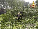Albero crollato a Nichelino, strade smottate e incidenti a Moncalieri