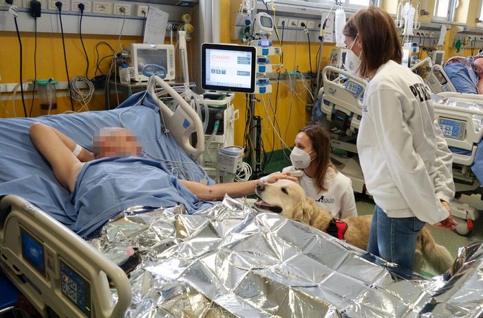 A Palazzo Lascaris una giornata dedicata alla pet therapy con esperti del settore A Palazzo Lascaris una giornata dedicata alla pet therapy con esperti del settore