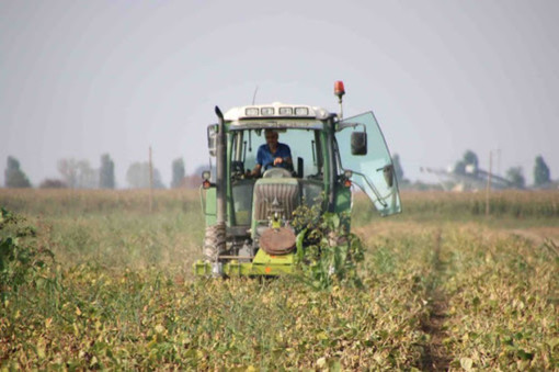 Agricoltura, la Regione proroga le misure agroambientali del Psr con 1 milione e mezzo di euro