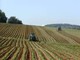 Coldiretti Piemonte: per le imprese agricole necessari voucher e quarantena attiva
