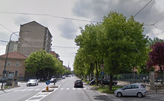 Una immagine degli alberi di corso Belgio