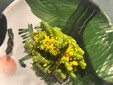 Asparagina