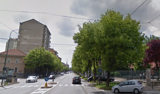 Una immagine degli alberi di corso Belgio