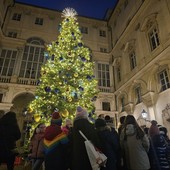 Torino nella morsa del caldo guarda al Natale: le Feste porteranno in regalo il "verde" (temporaneo) nella nuova via Roma Torino nella morsa del caldo guarda al Natale: le Feste porteranno in regalo il "verde" (temporaneo) nella nuova via Roma
