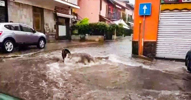 Disagi con le recenti ondate di maltempo a Torino e provincia
