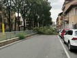 Maltempo a Torino nel pomeriggio di oggi Maltempo a Torino nel pomeriggio di oggi