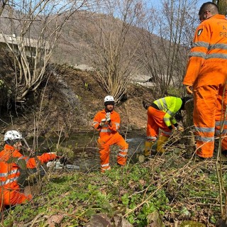 Incendi boschivi: il Corpo Aib del Piemonte parte per la missione europea in Francia