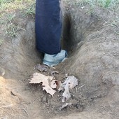 Pellerina, area cani tra buche e recinzioni rotte: “Servono interventi immediati”