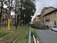Maltempo a Torino nel pomeriggio di oggi Maltempo a Torino nel pomeriggio di oggi