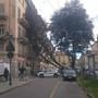 Gli effetti del maltempo a Torino Sud e al Salone del Libro