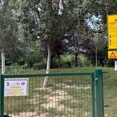 area cani via fagnano