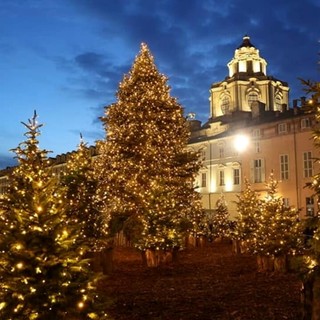 accensione albero piazzetta reale